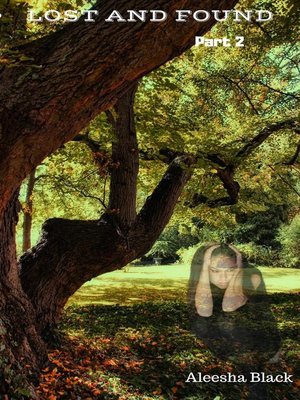 cover image of Lost and Found